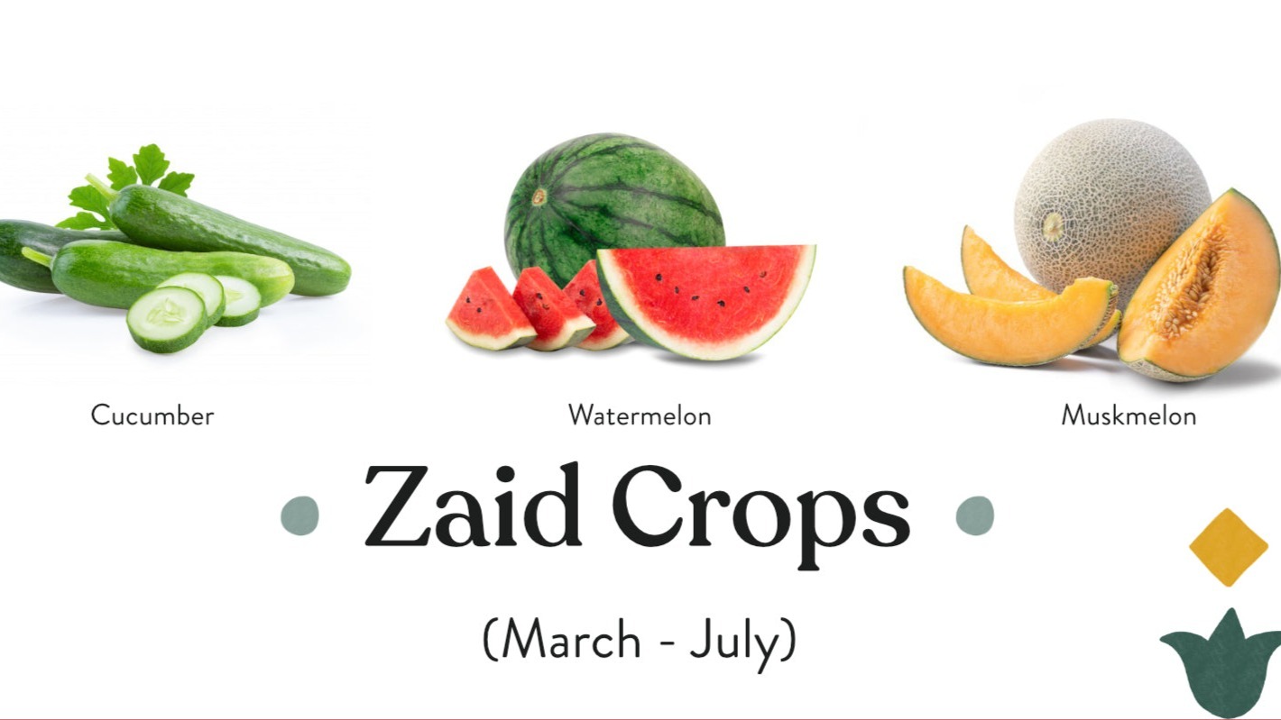 Main Banner Image 2